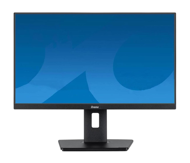 IIYAMA 23.8'' ProLite XUB2492HSU-B6 Czarny - 1193573 - zdjęcie